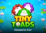 Tiny Toads